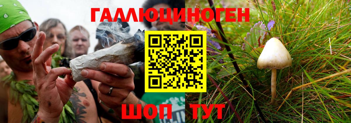 Миллерово  Галлюциногенные грибы мухоморы  Вход с VPN  Псилоцибиновые грибы Cubensis 